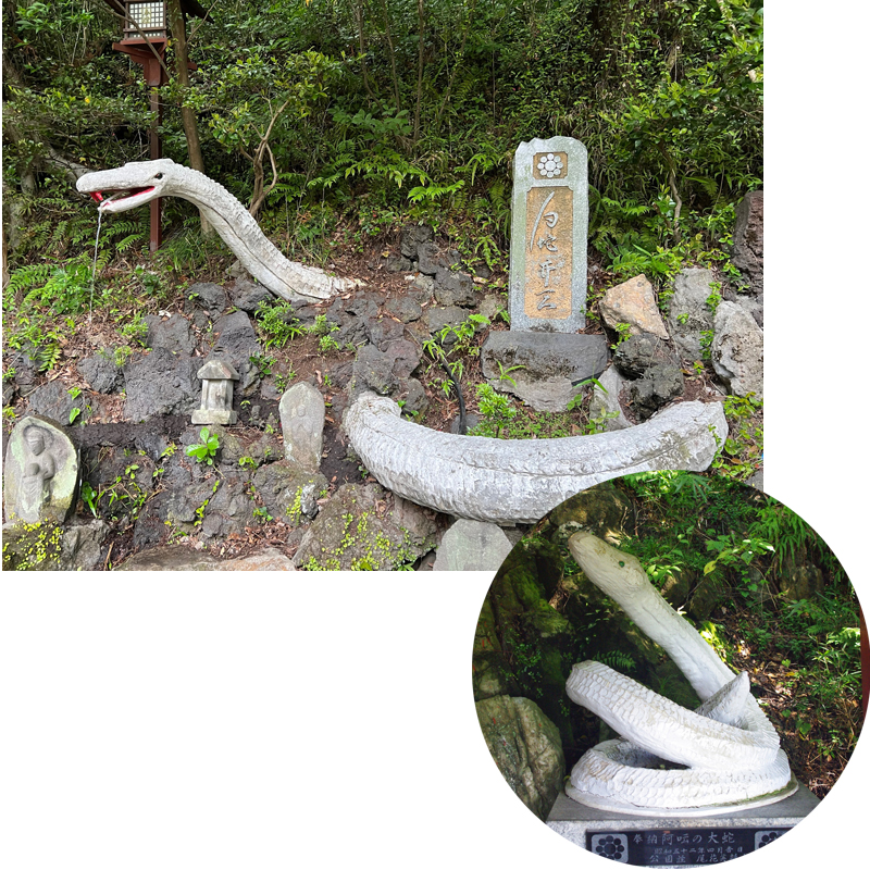 白蛇イメージ